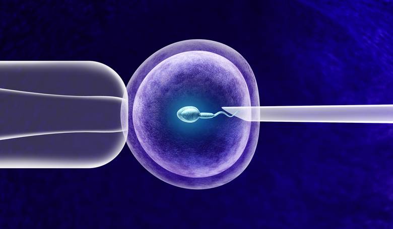 Franczska lekrska akadmia je proti zkonu in vitro bez otca