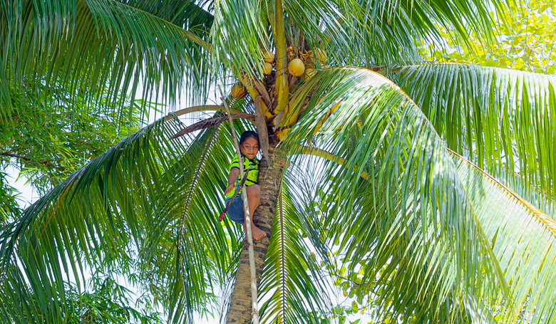 Intern�t v amazonskom pralese