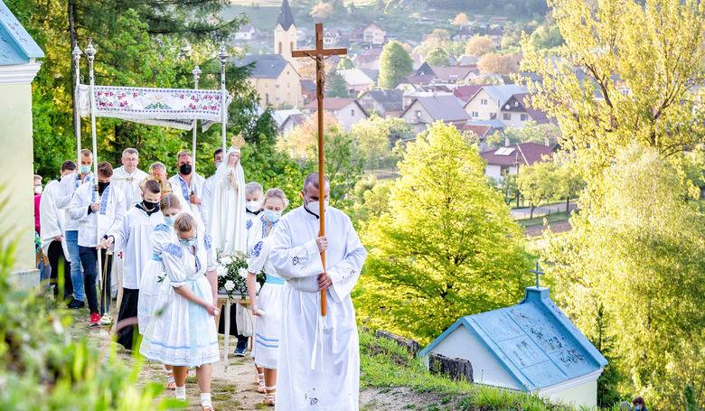 Frivaldsk kalvria slvi storonicu