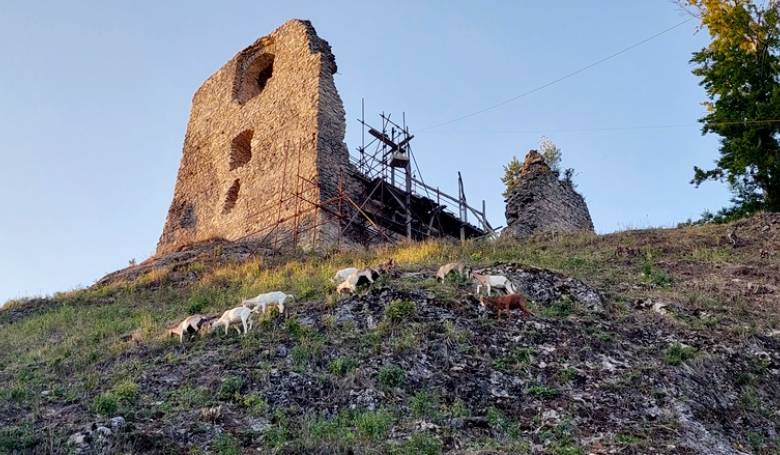 Znmy-neznmy Hanigovsk hrad