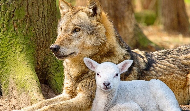 Ten, čo príde, bude krstiť ohňom Ten, čo príde, bude krstiť ohňom