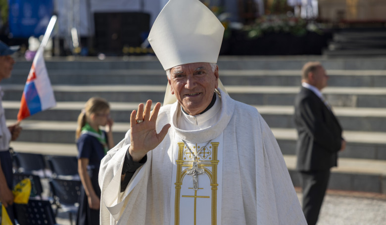 Zdrav� realizmus a odzbrojen� slov�