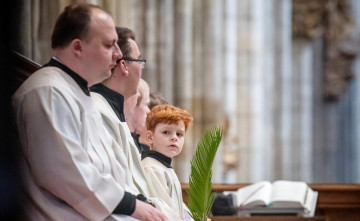 Pravda Palmovej nedele