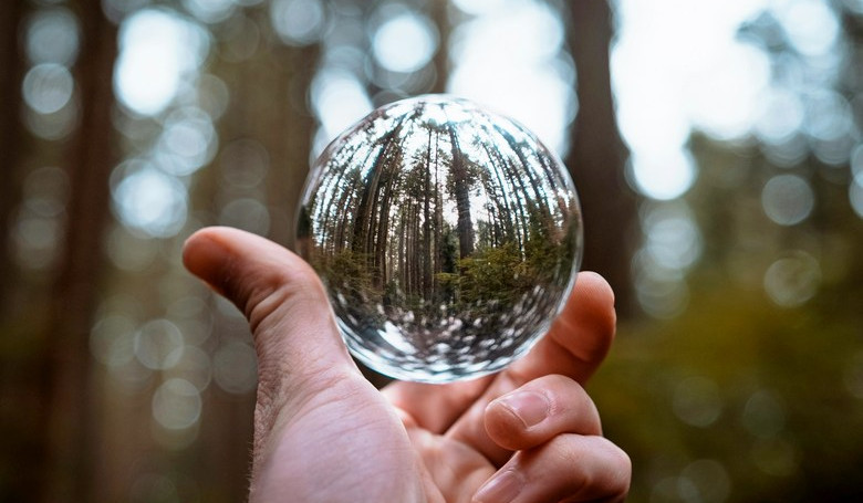 V pasci lkavej pozltky