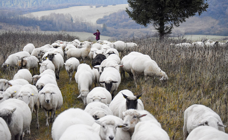 K ove�k�m treba z�js� aj na �tedr� de�